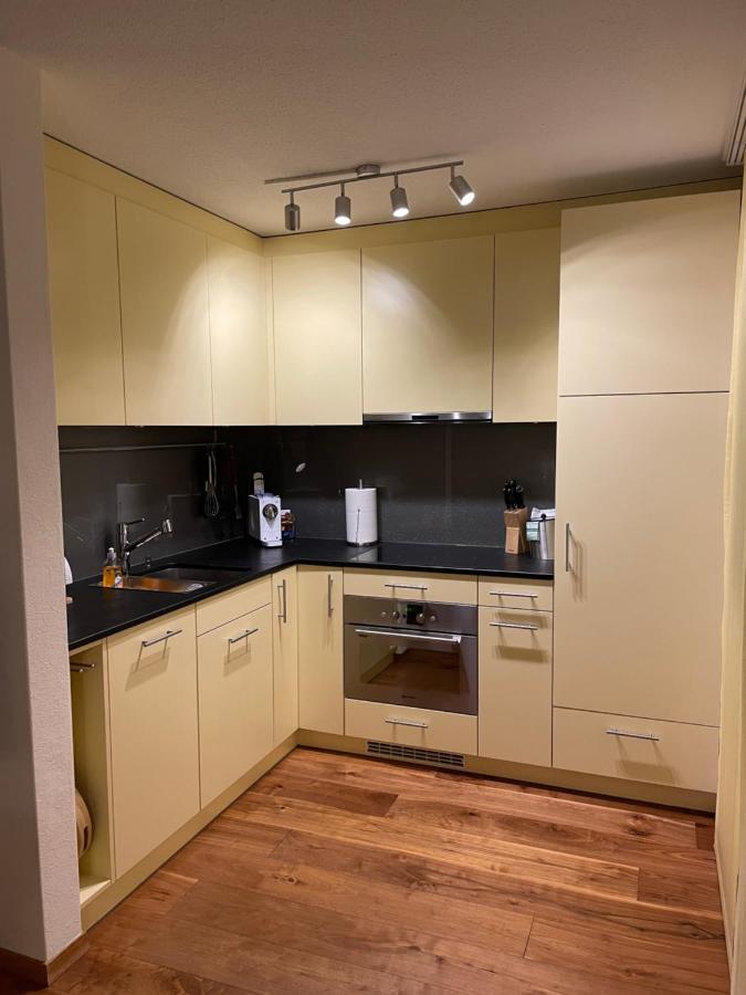 Ferienwohnung Efibach 41 Silenen Dış mekan fotoğraf